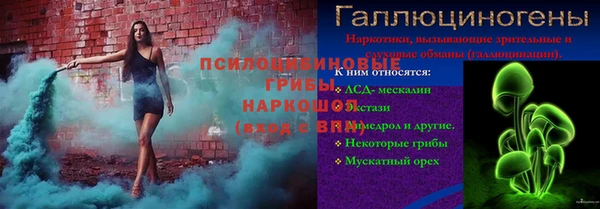 бошки Осташков