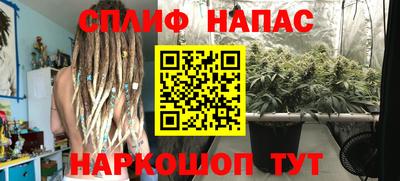 ГАЛЛЮЦИНОГЕННЫЕ ГРИБЫ Пугачёв