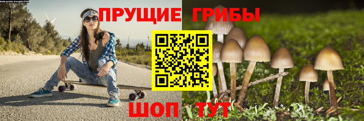 Хабаровск  Псилоцибиновые грибы Magic Shrooms  Вход с VPN  Псилоцибиновые грибы прущие грибы 