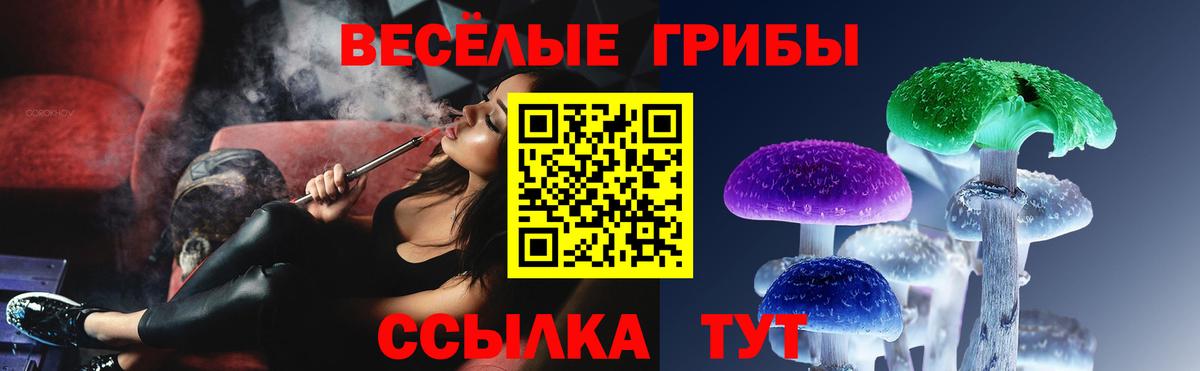 Галлюциногенные грибы MAGIC MUSHROOMS Хабаровск